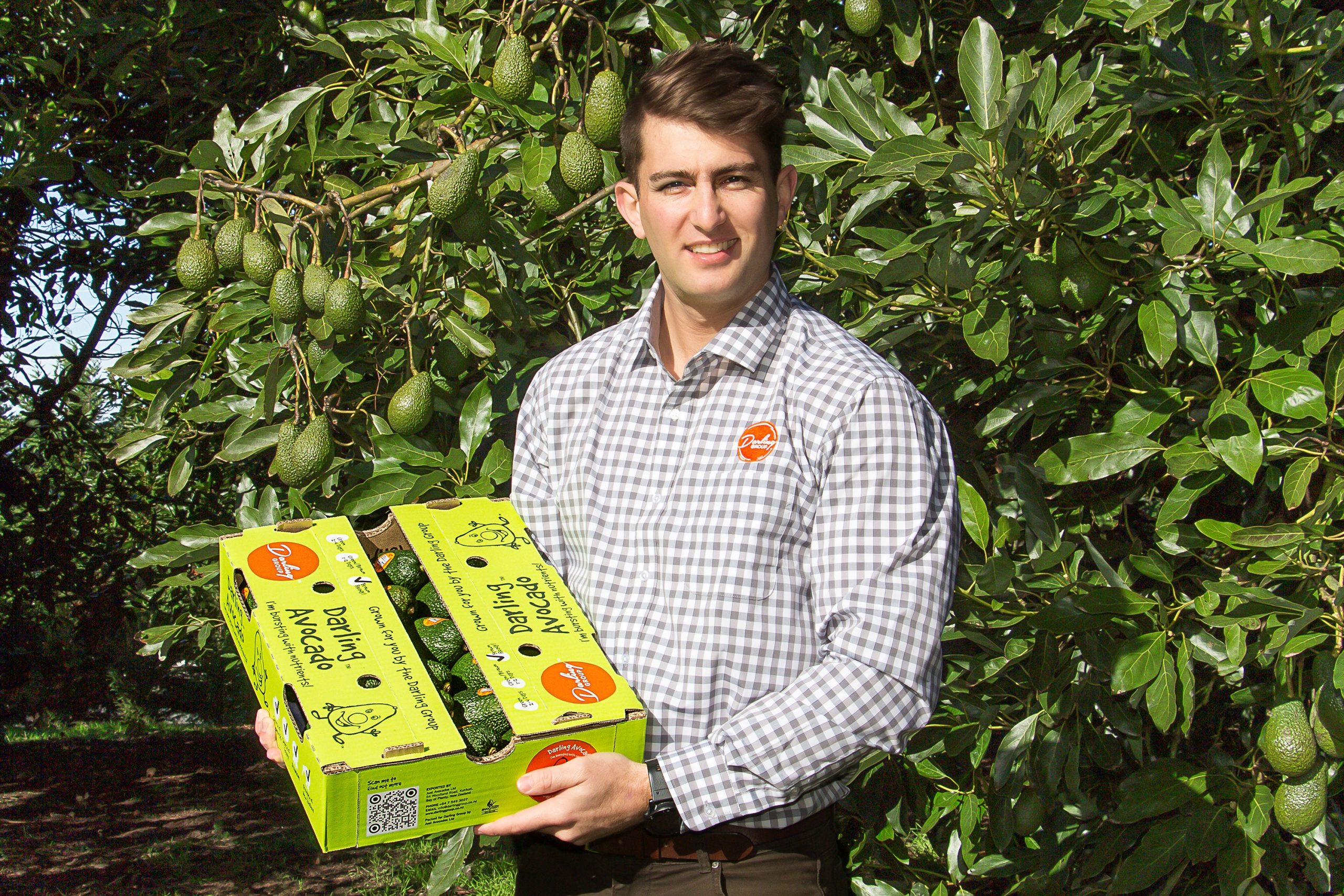 BOOST TO DIRECT TO RETAIL IN AUSTRALIA FOR JUST AVOCADOS Just